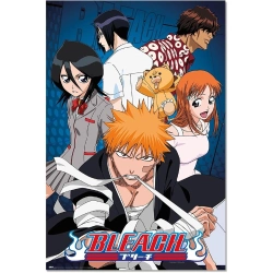 Capa do artigo Poster Bleach