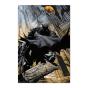 Poster Dc Comics Batman Gargoyle - Preview