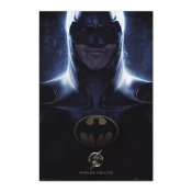 Capa do artigo Poster Dc Comics The Flash - Batman