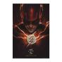 Dc Comics The Flash Poster - Flash - Preview