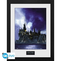 Capa do artigo Framed Print Poster Harry Potter Hogwarts Painted (30x40)