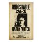 Harry Potter Undesirable Poster No. 1 - Preview
