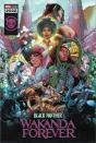 Marvel Black Panther Wakanda Forever Comic Poster - Preview