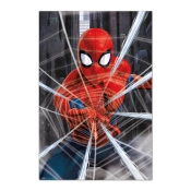 Capa do artigo Poster Marvel Spider-Man Gotcha