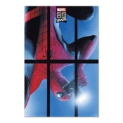 Capa do artigo Poster Marvel Spiderman 80 Years