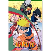 Capa do artigo Poster Naruto Shippuden Characters
