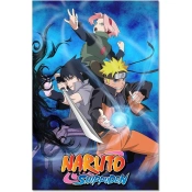 Capa do artigo Poster Naruto Shippuden