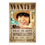 Poster One Piece Netflix - Wanted Monkey D. Luffy - Preview
