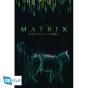 The Matrix Cat Poster (91.5x61) - Preview