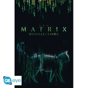 Capa do artigo The Matrix Cat Poster (91.5x61)
