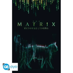 Capa do artigo The Matrix Cat Poster (91.5x61)