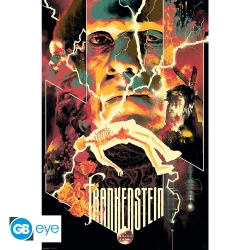 Capa do artigo Universal Monsters "Frankenstein" Poster (91.5x61)
