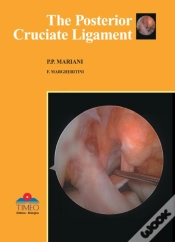 Capa do artigo Posterior Cruciate Ligament