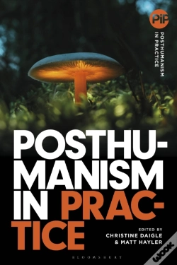Capa do artigo Posthumanism In Practice