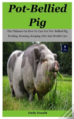 Capa do artigo Pot-Bellied Pig