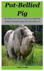 Pot-Bellied Pig - Preview