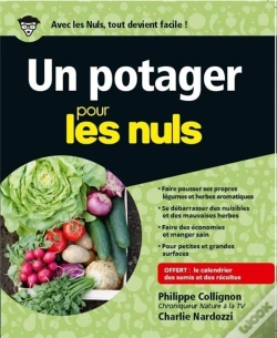 Capa do artigo Potager Pour Les Nuls