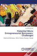 Potential Micro Entrepreneurial Borrowers