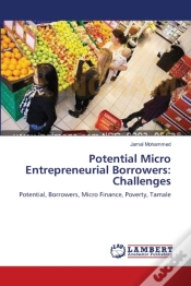 Capa do artigo Potential Micro Entrepreneurial Borrowers