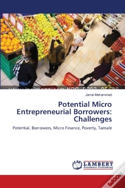 Capa do artigo Potential Micro Entrepreneurial Borrowers