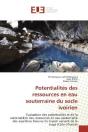 Potentialites Des Ressources En Eau Souterraine Du Socle Ivoirien - Evaluation Des Potentialites Et - Preview