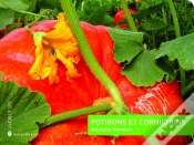 Capa do artigo Potirons Et Cornichons