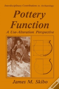 Capa do artigo Pottery Function