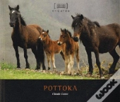 Pottokak