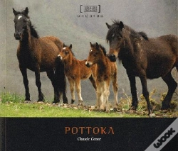 Capa do artigo Pottokak