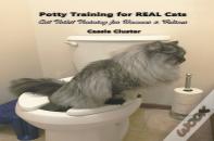 Potty Training For Real Cats