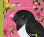 Poucette - Preview