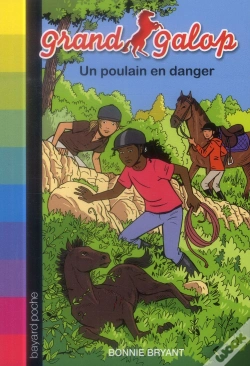 Capa do artigo Poulain En Danger - N613 - (Avril14)