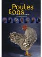 Poules Et Coqs - Preview