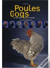 Capa do artigo Poules Et Coqs