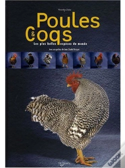 Capa do artigo Poules Et Coqs