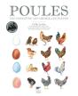 Poules ; Les Connaître, Les Choisir, Les Élever - Preview