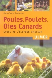 Poules Poulets Oies Canards