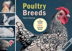 Capa do artigo Poultry Breeds
