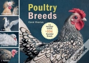 Capa do artigo Poultry Breeds