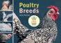 Poultry Breeds - Preview