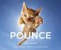 Pounce - Preview