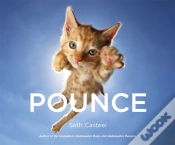 Capa do artigo Pounce