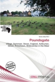 Capa do artigo Poundsgate