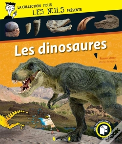 Capa do artigo Pour Les Nuls Presente Les Dinosaures