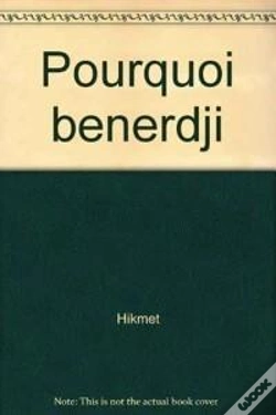 Capa do artigo Pourquoi Benerdji