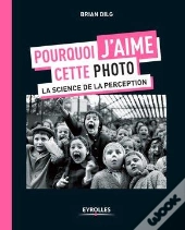Pourquoi J'Aime Cette Photo ; La Science De La Perception