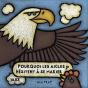 Pourquoi Les Aigles Hésitent À Se Marier ? - Preview