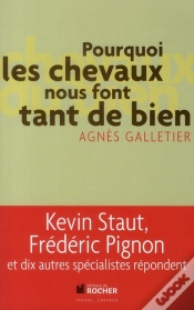 Capa do artigo Pourquoi Les Chevaux Nous Font Tant De Bien