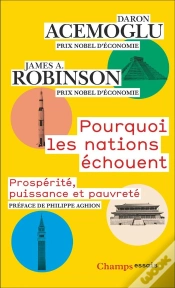 Capa do artigo Pourquoi Les Nations Échouent : Prospérité, Puissance Et Pauvreté