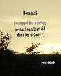 Pourquoi Les Vaches Ne Font Pas Leur Nid Dans Les Arbres ? - Preview
